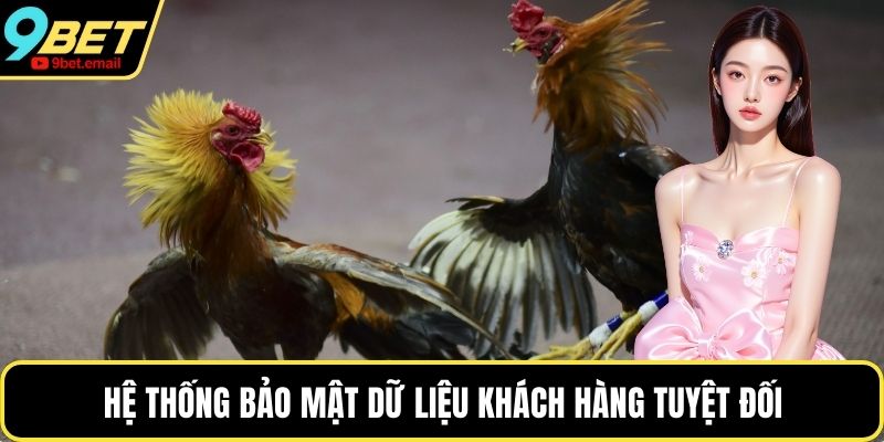 Hệ thống bảo mật dữ liệu khách hàng tuyệt đối