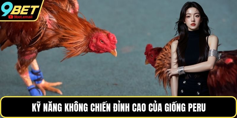 Kỹ năng không chiến đỉnh cao của giống Peru