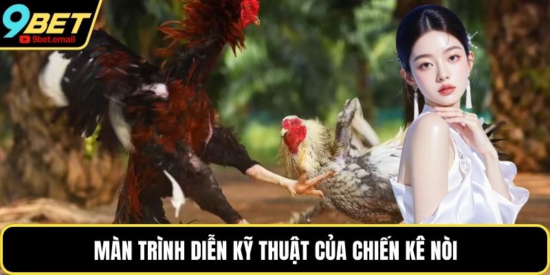 Màn trình diễn kỹ thuật của chiến kê nòi