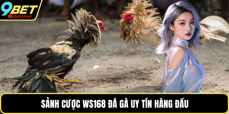 Sảnh cược WS168 đá gà uy tín hàng đầu