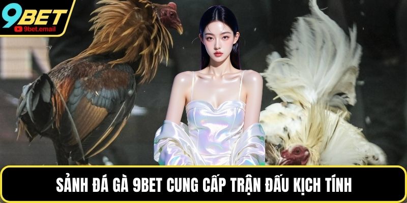 Sảnh đá gà 9bet cung cấp trận đấu kịch tính