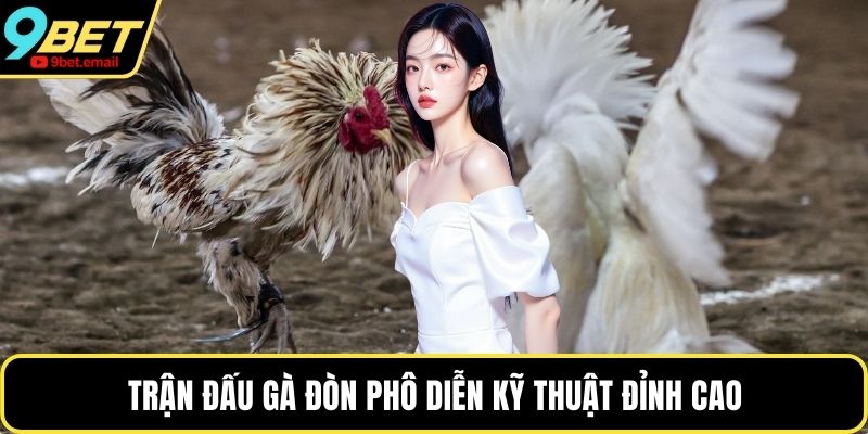 Trận đấu gà đòn phô diễn kỹ thuật đỉnh cao
